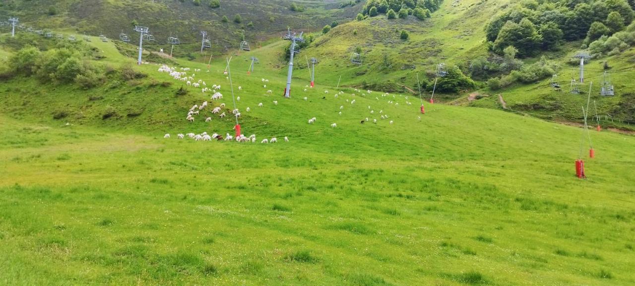 Pleine Nature Pied Pistes Piscine Chauffee Ustou Bagian luar foto